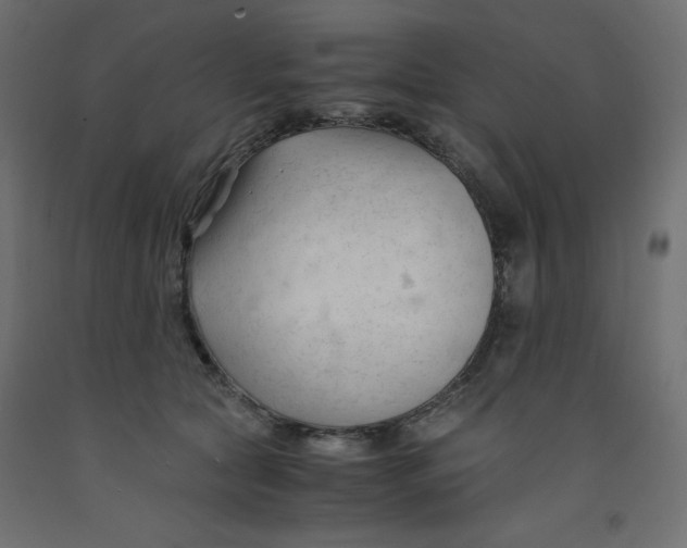 X0000092310561200710121500