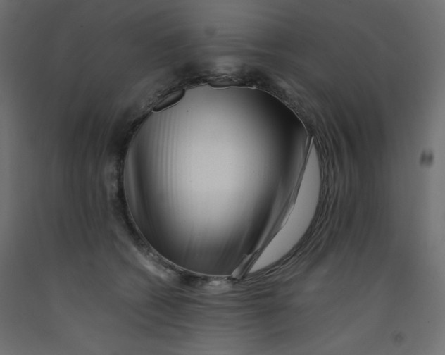 X0000092310562200710121500