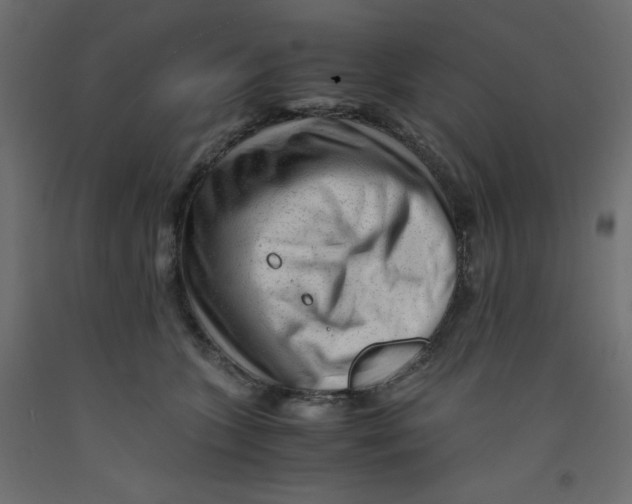 X0000092310563200710121500