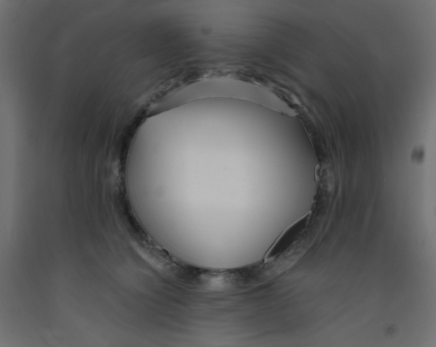 X0000092310564200710121500
