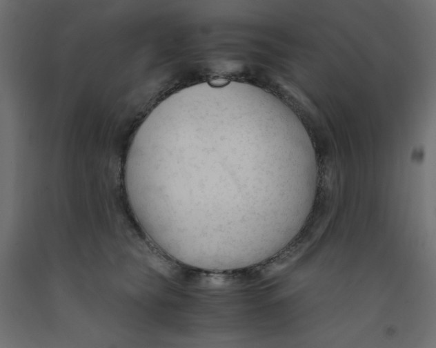X0000092310565200710121500