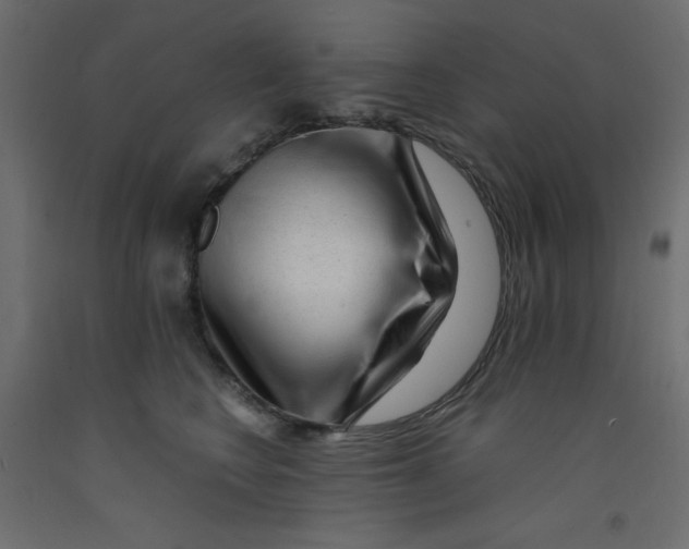 X0000092310566200710121500
