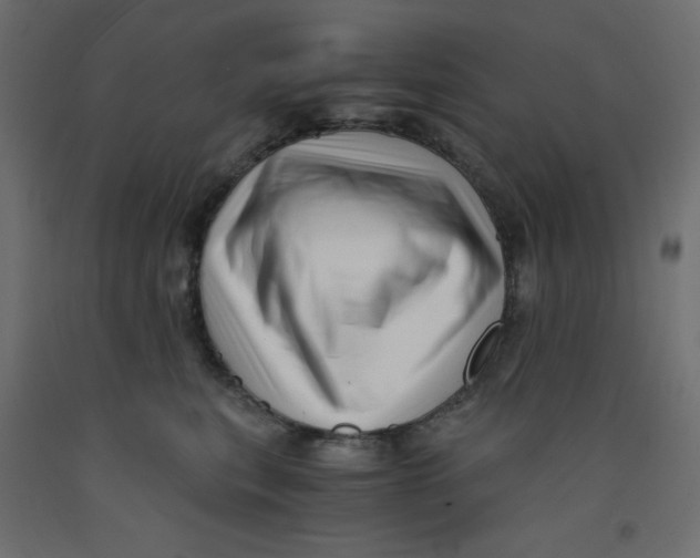 X0000092310567200710121500