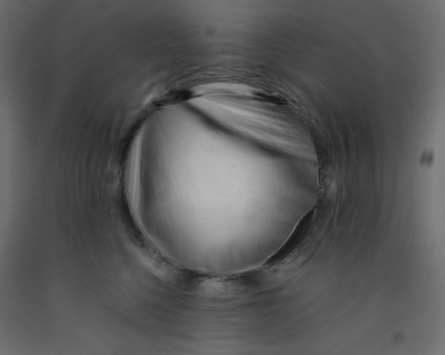 X0000092310568200710121500