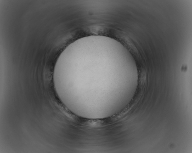 X0000092310569200710121500
