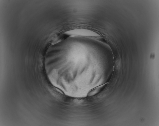 X0000092310570200710121500