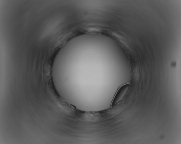 X0000092310571200710121500