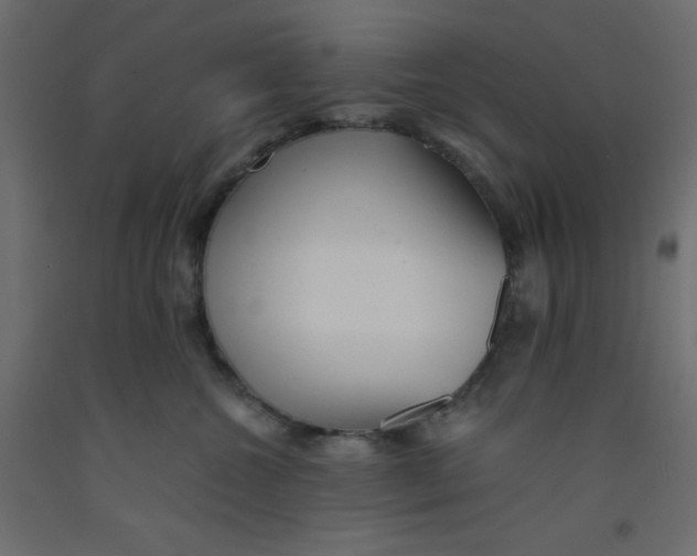 X0000092310572200710121500