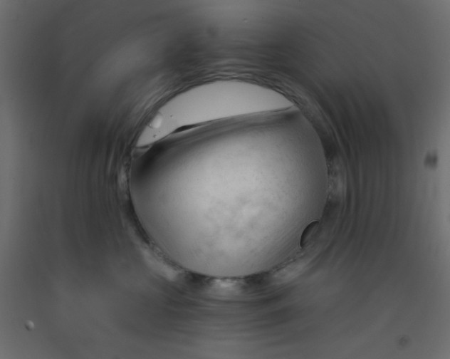 X0000092310573200710121500
