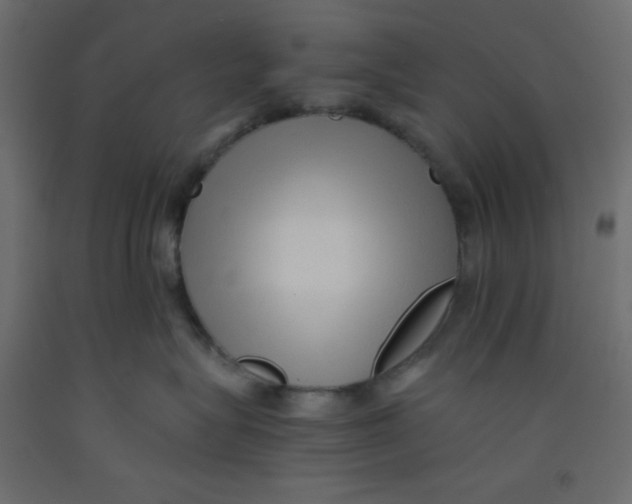 X0000092310575200710121500