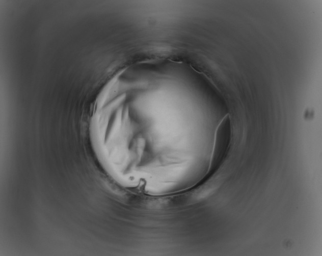 X0000092310576200710121500