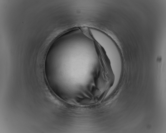 X0000092310577200710121500