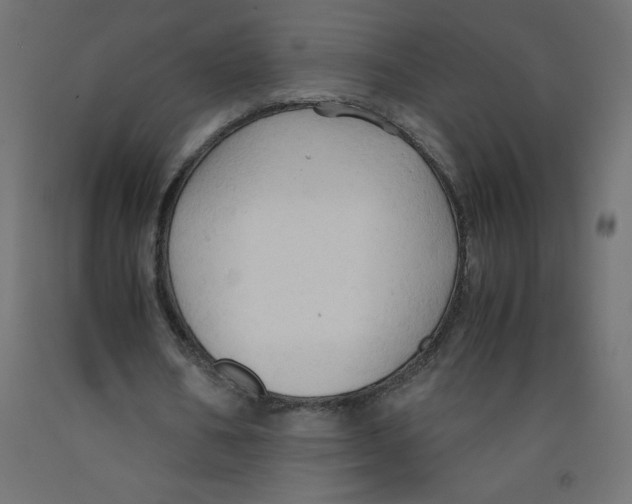 X0000092310578200710121500