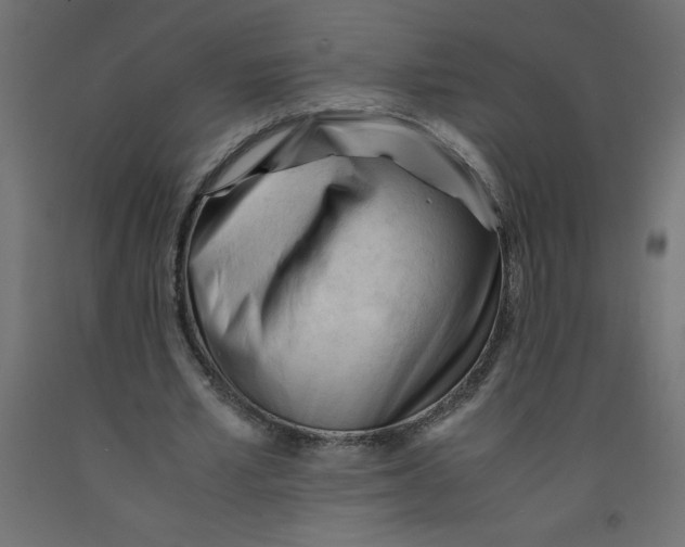 X0000092310581200710121500