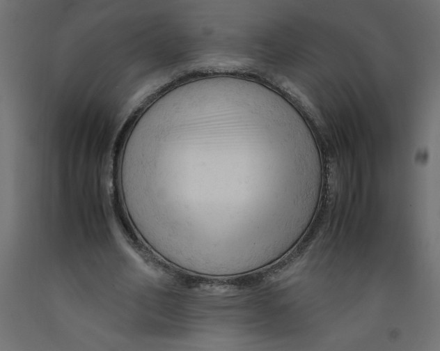 X0000092310582200710121500