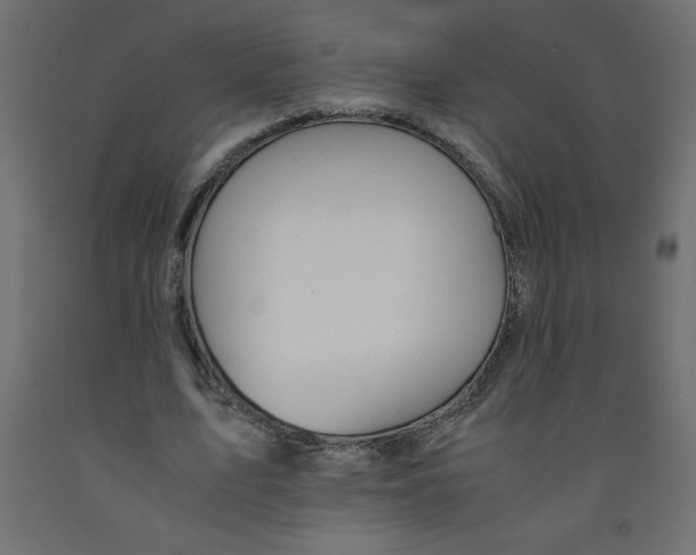 X0000092310583200710121500
