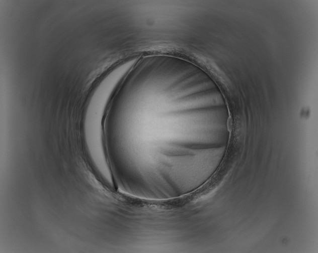 X0000092310585200710121500