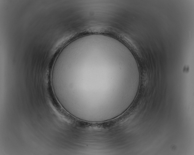 X0000092310586200710121500