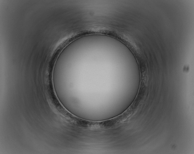 X0000092310587200710121500
