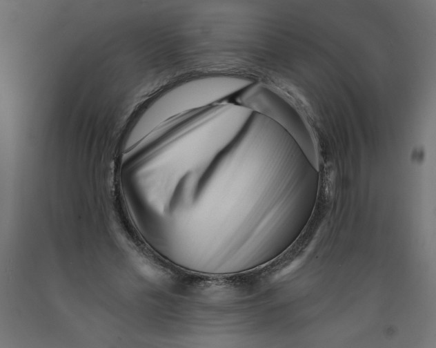 X0000092310589200710121500