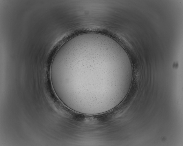 X0000092310591200710121500