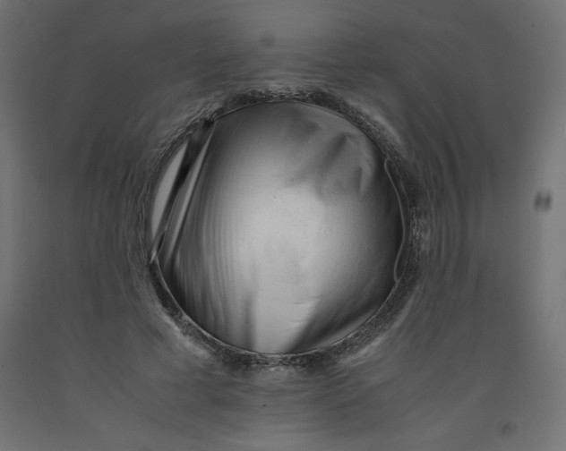 X0000092310593200710121500