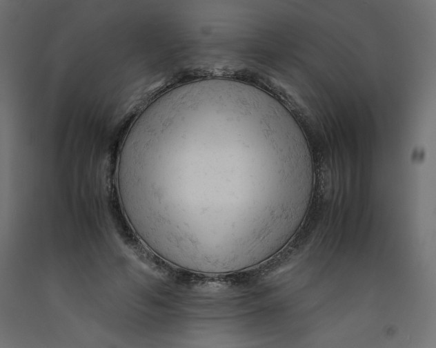 X0000092310594200710121500