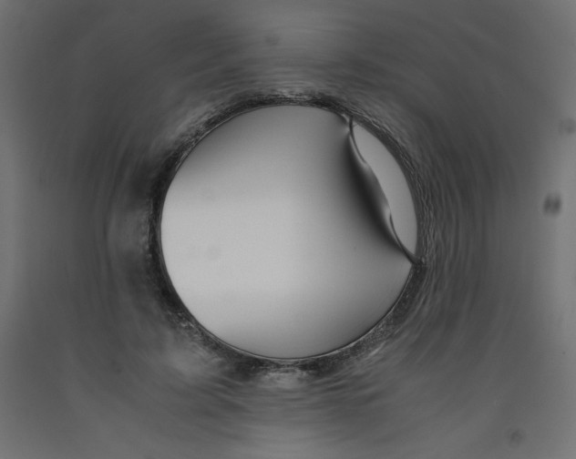 X0000092310595200710121500