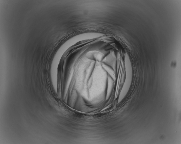 X0000092310597200710121500