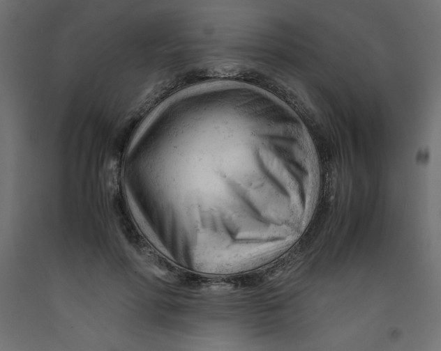 X0000092310598200710121500