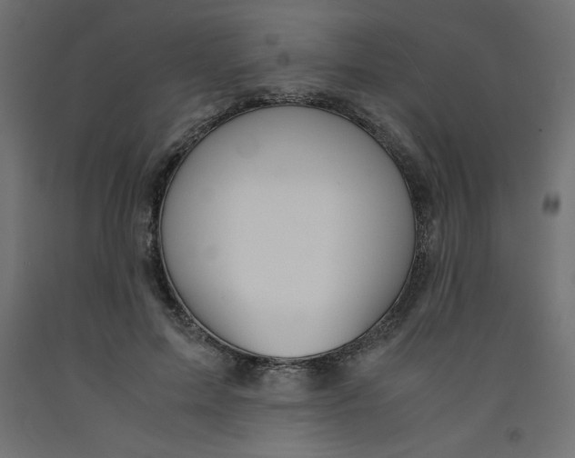 X0000092310599200710121500