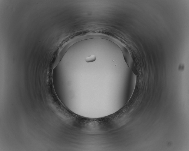 X0000092310600200710121500