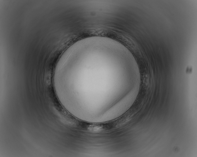 X0000092310602200710121500