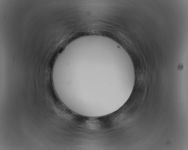X0000092310603200710121500