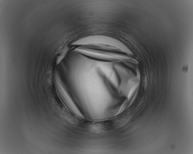 X0000092310604200710121500
