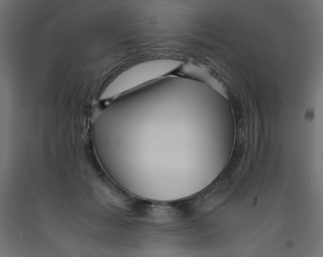 X0000092310605200710121459