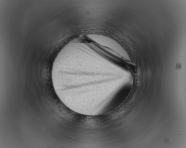 X0000092310608200710121459