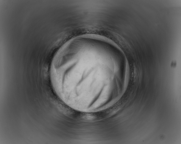 X0000092310610200710121459