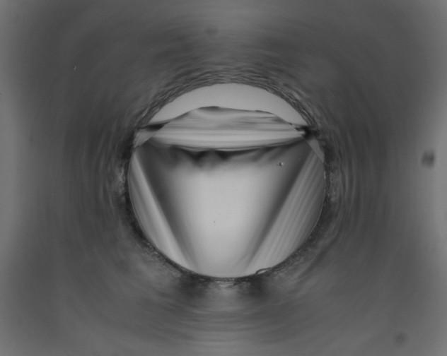 X0000092310613200710121459
