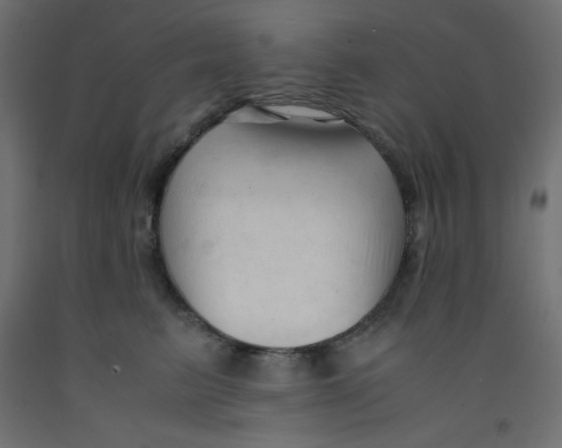 X0000092310615200710121459