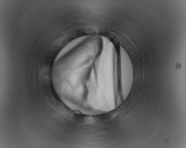X0000092310616200710121459