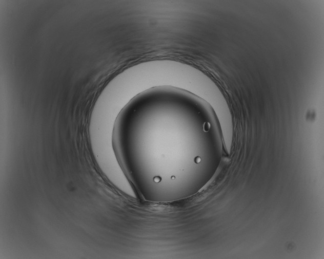 X0000092310617200710121459