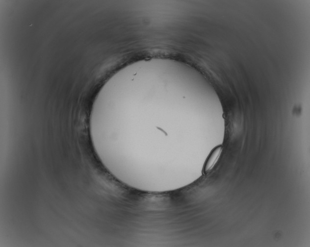 X0000092310619200710121459