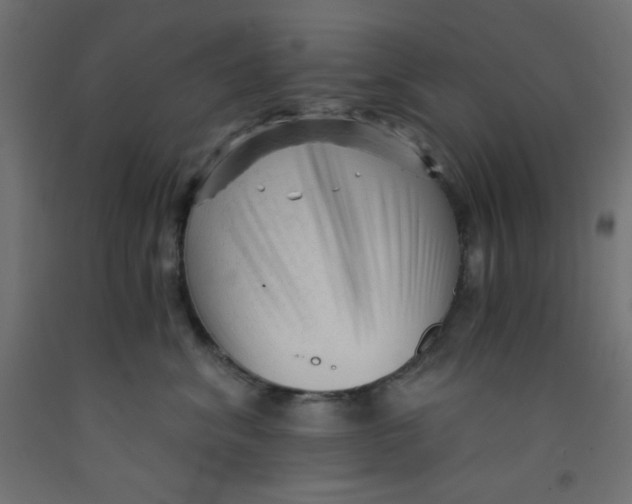 X0000092310620200710121459