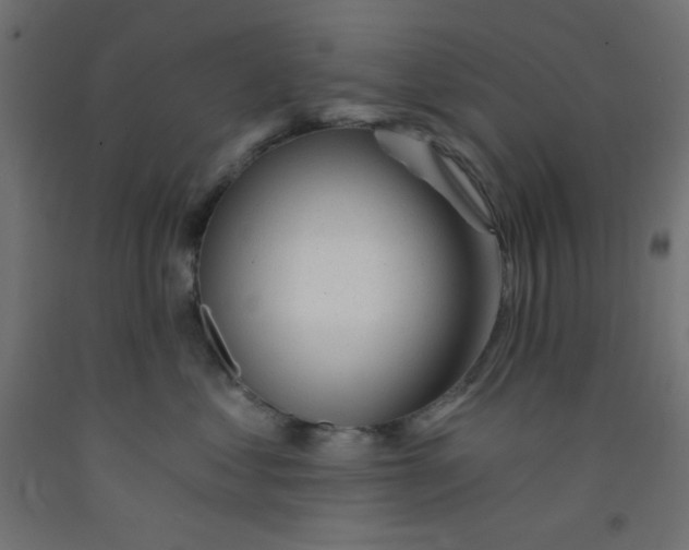 X0000092310621200710121459