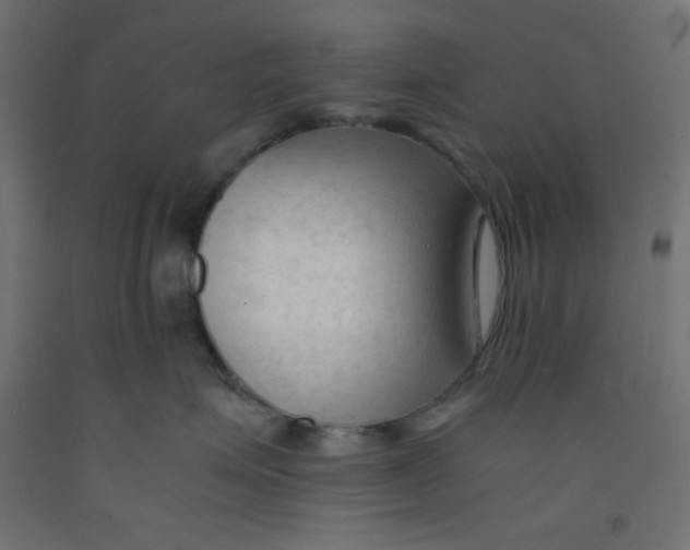X0000092310623200710121459