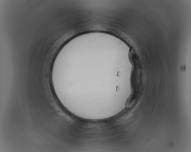 X0000092310625200710121459