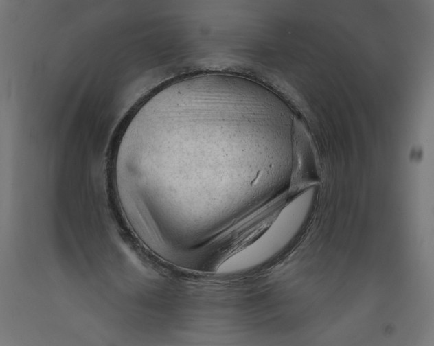 X0000092310626200710121459