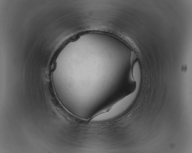 X0000092310628200710121459