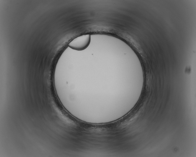 X0000092310629200710121459